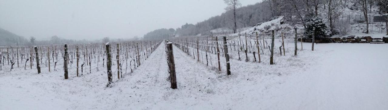 Borgo Di Corte - Alloggio Agrituristico Prestento 외부 사진